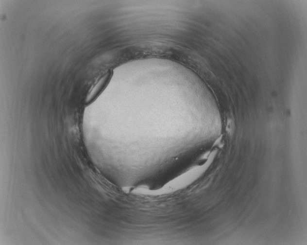 X0000062910771200602101831