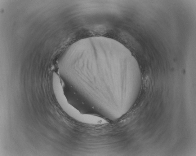 X0000062910772200602101831