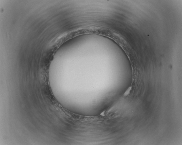 X0000062910773200602101831