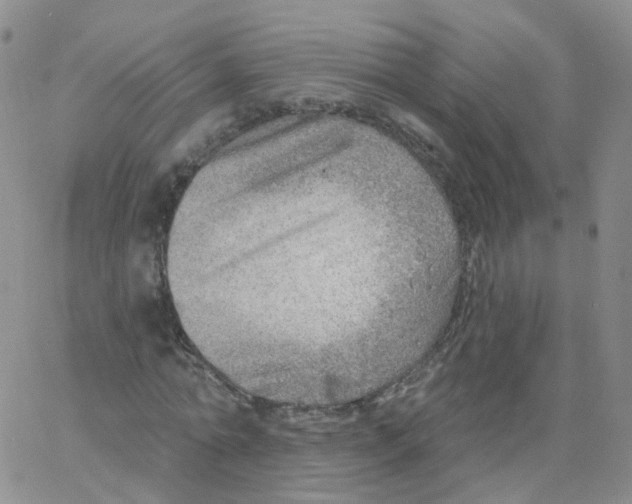 X0000062910774200602101831