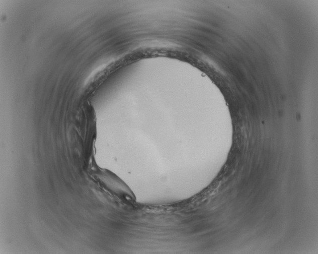 X0000062910775200602101831