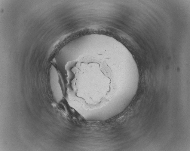 X0000062910776200602101831