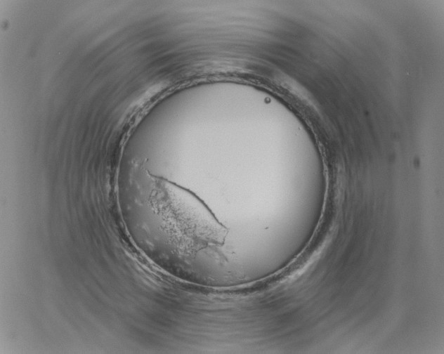 X0000062910777200602101831