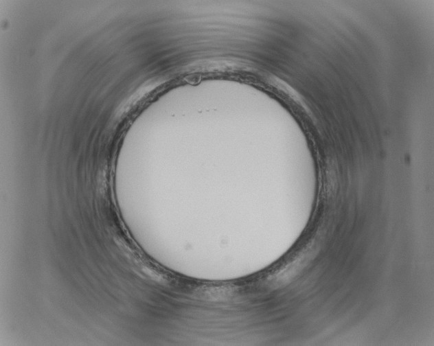 X0000062910778200602101831