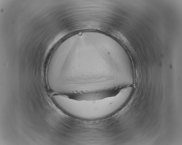 X0000062910780200602101831