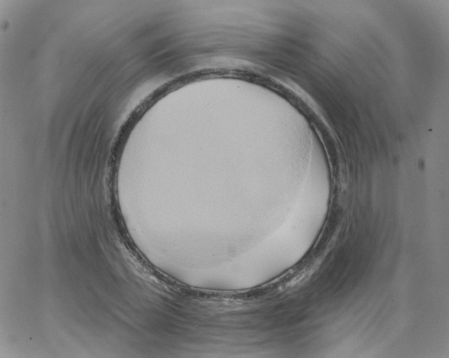 X0000062910783200602101831