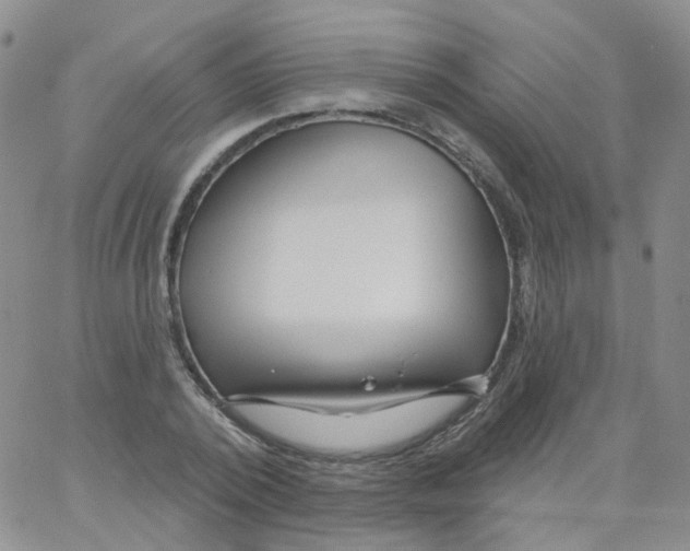 X0000062910784200602101831