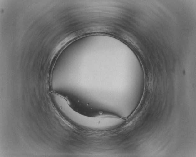 X0000062910786200602101831