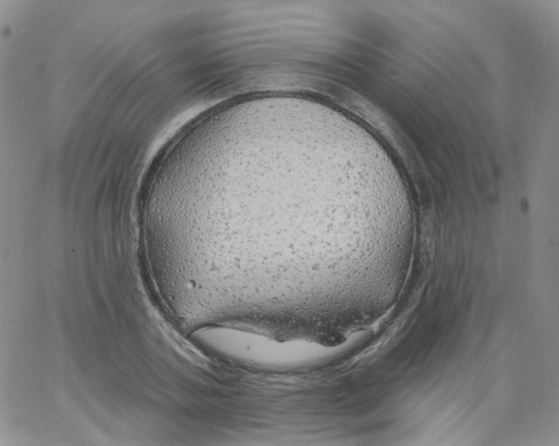 X0000062910787200602101831