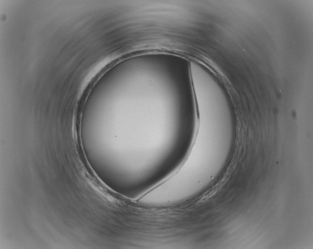 X0000062910788200602101831