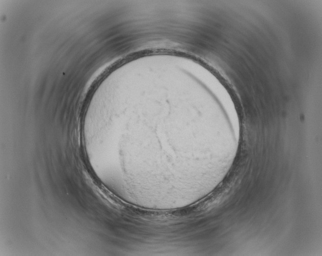 X0000062910791200602101831