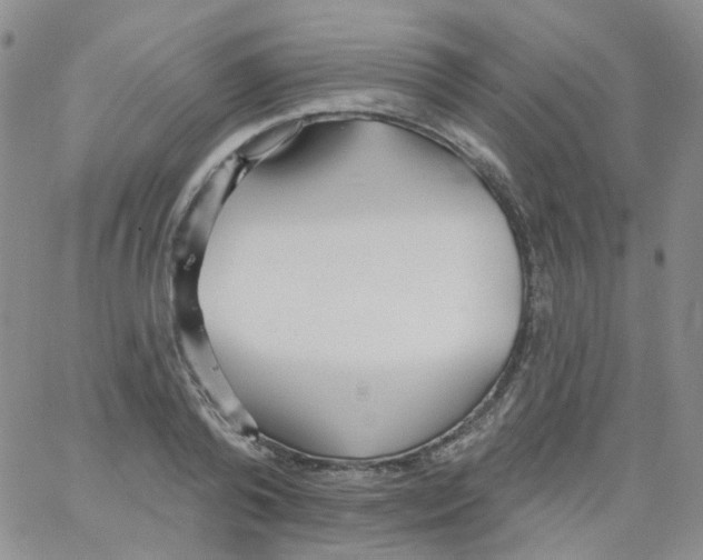 X0000062910792200602101831