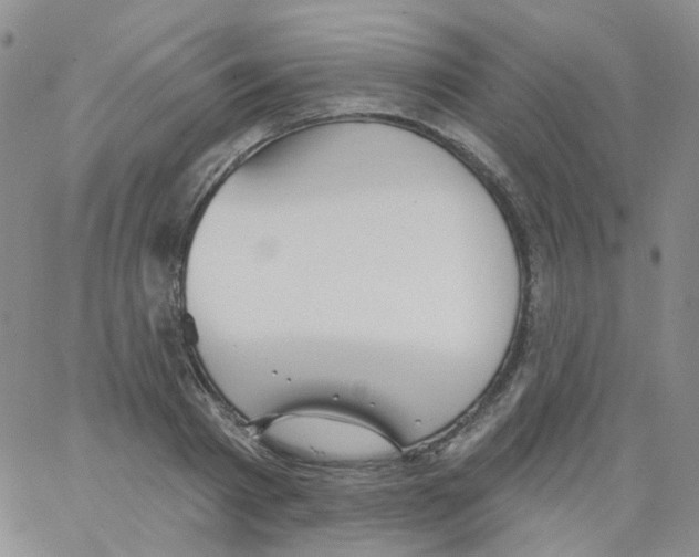 X0000062910793200602101831