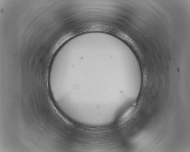 X0000062910794200602101831