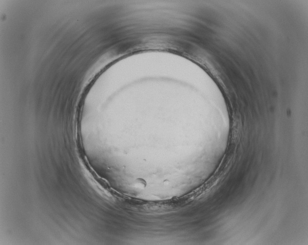 X0000062910795200602101831