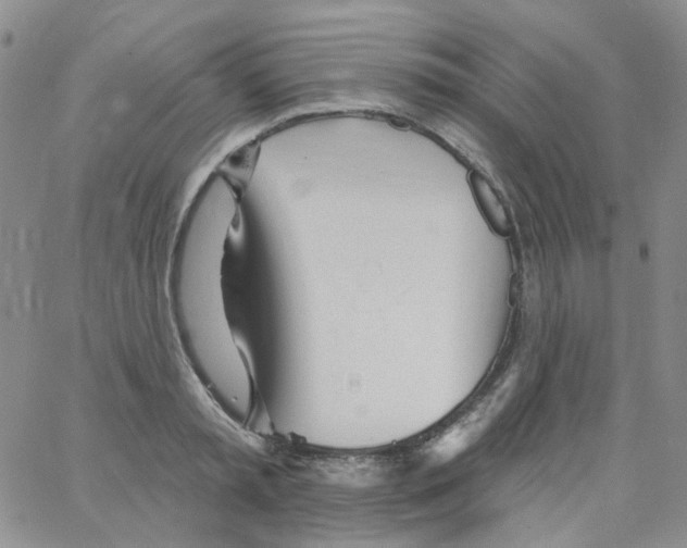 X0000062910797200602101831