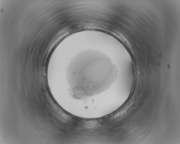 X0000062910798200602101830