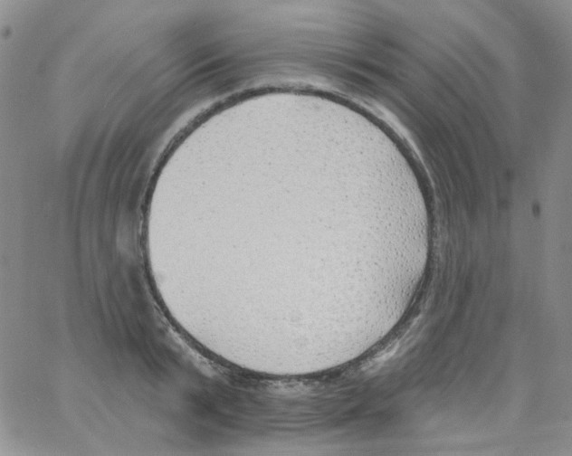 X0000062910799200602101830