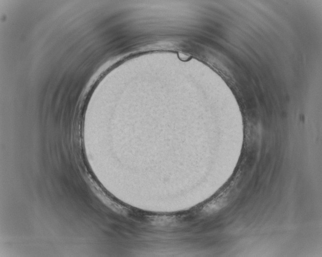 X0000062910800200602101830