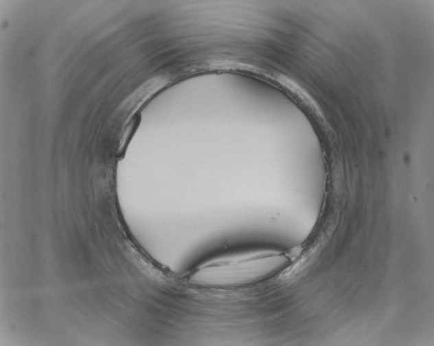 X0000062910801200602101830