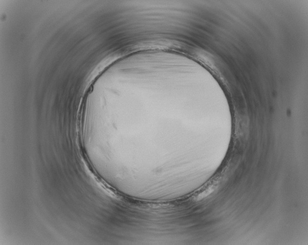 X0000062910802200602101830