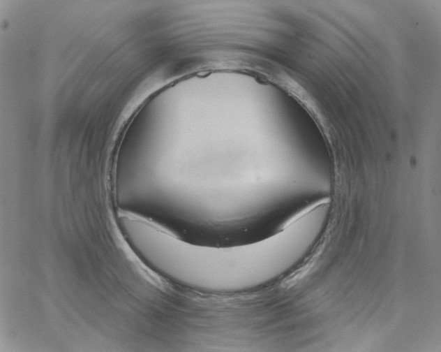 X0000062910803200602101830