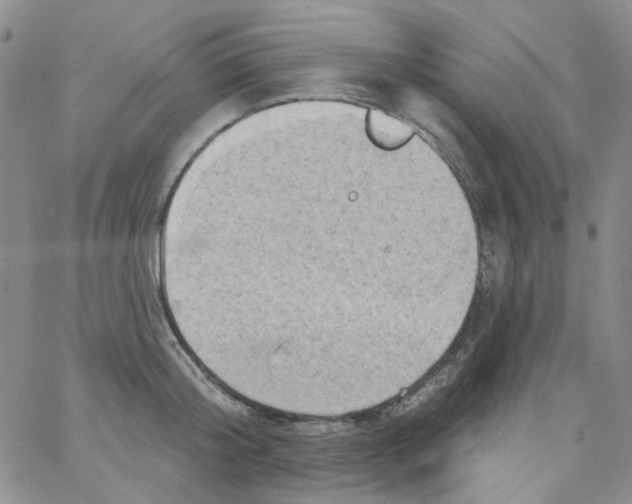 X0000062910804200602101830