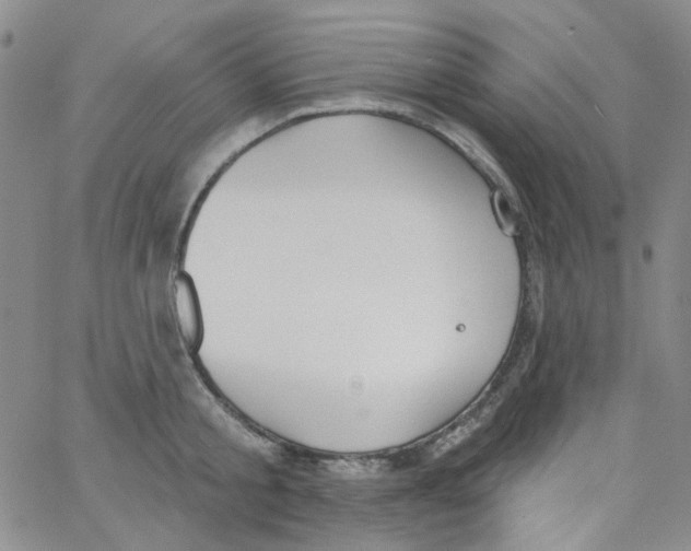 X0000062910805200602101830