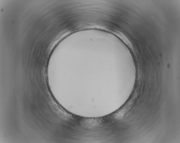 X0000062910806200602101830