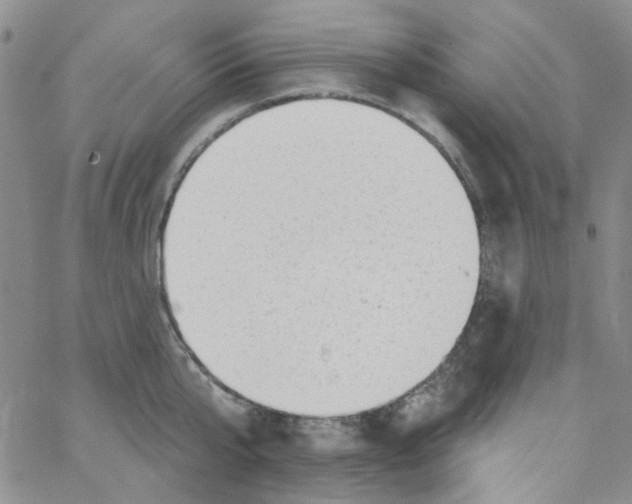 X0000062910807200602101830