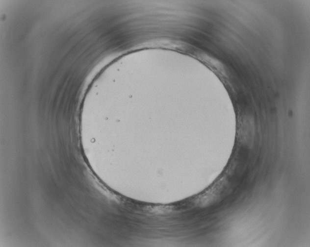 X0000062910808200602101830