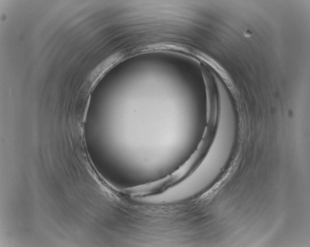 X0000062910809200602101830