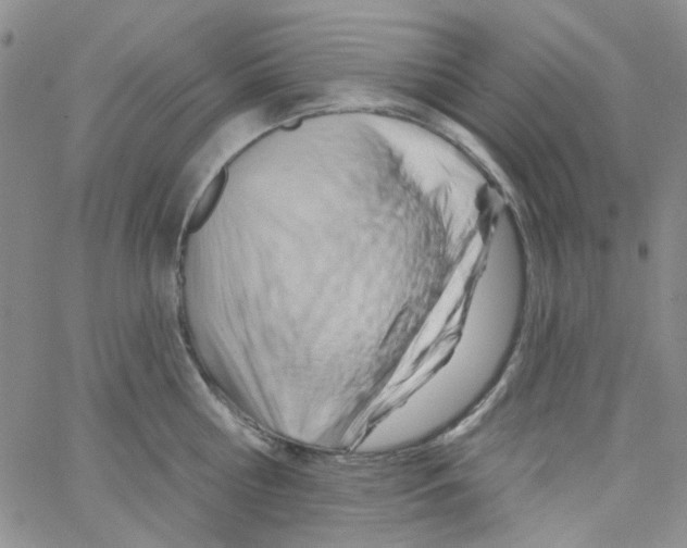 X0000062910810200602101830