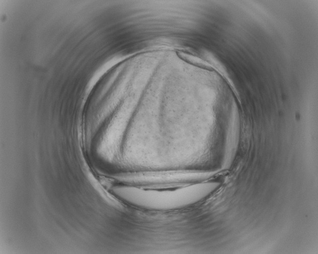 X0000062910811200602101830