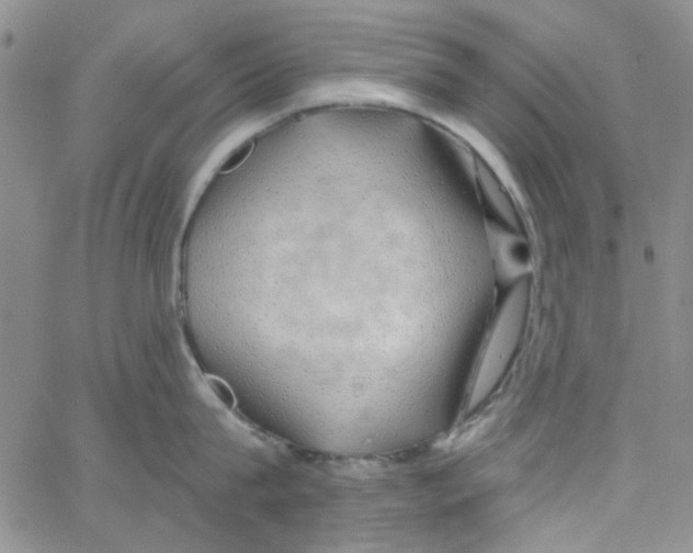 X0000062910815200602101830