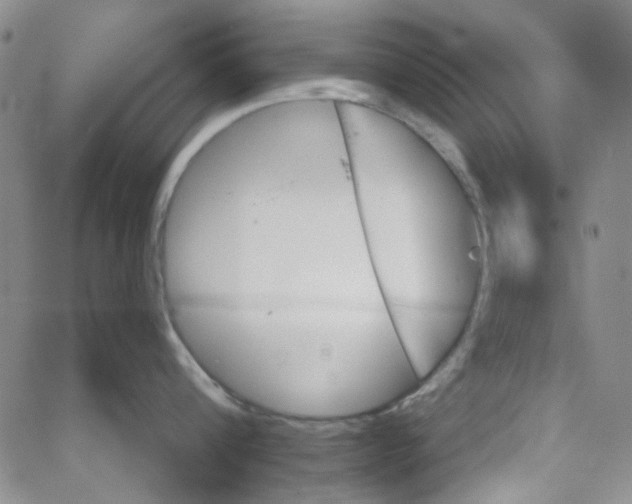 X0000062910816200602101830