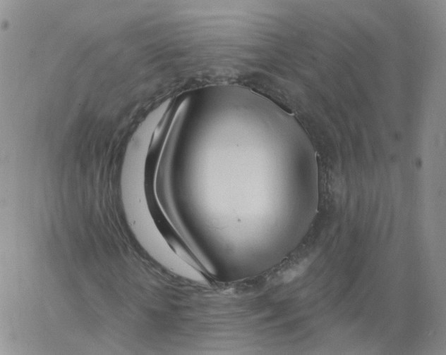 X0000062910818200602101829