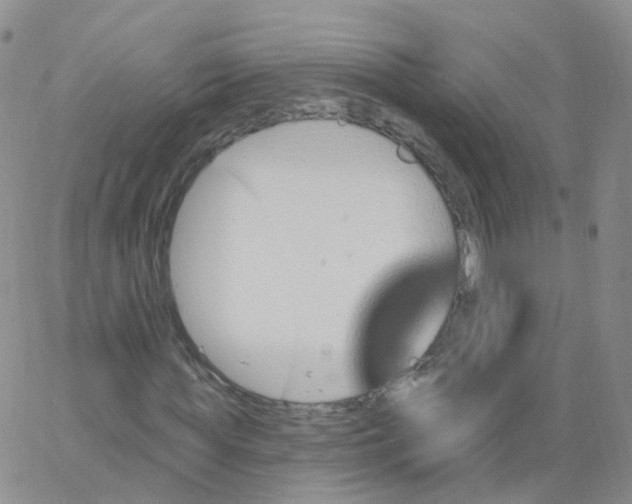 X0000062910819200602101829