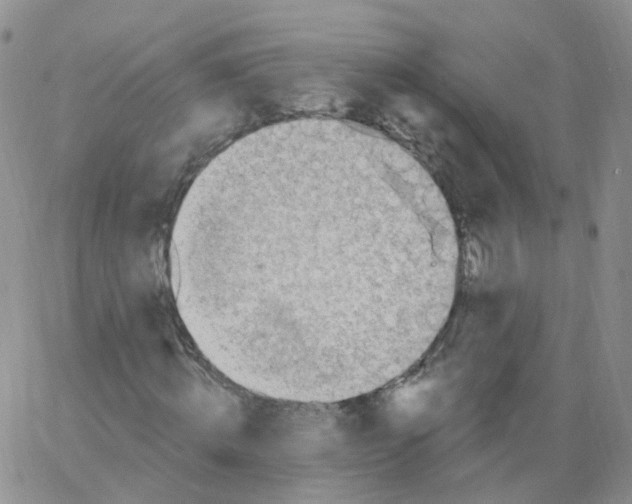 X0000062910820200602101829