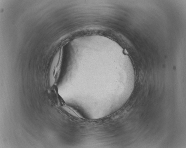 X0000062910821200602101829