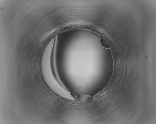 X0000062910822200602101830