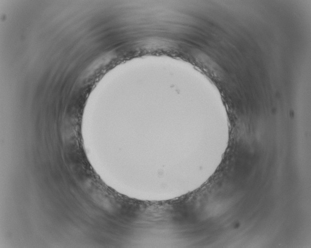 X0000062910824200602101830