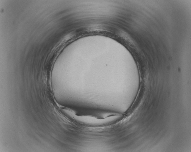 X0000062910825200602101830