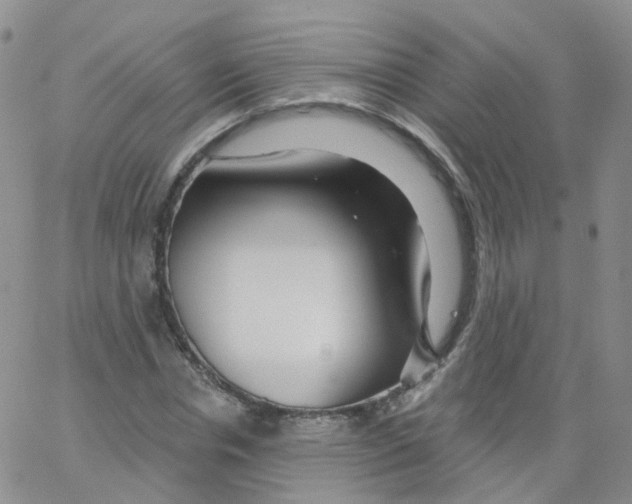 X0000062910826200602101830