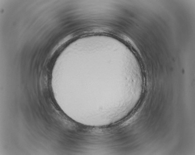 X0000062910827200602101830