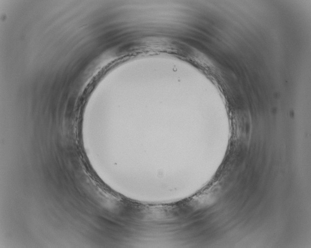 X0000062910828200602101830