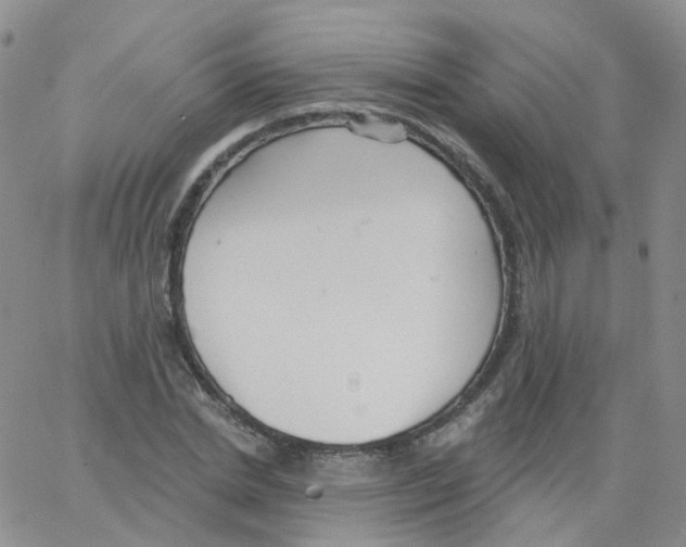 X0000062910830200602101830