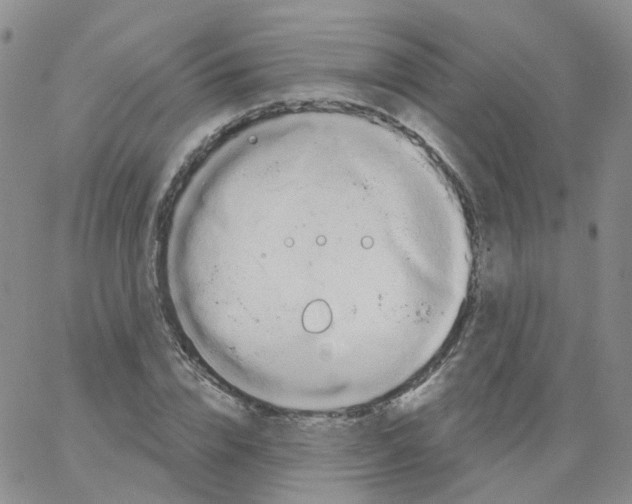 X0000062910832200602101830