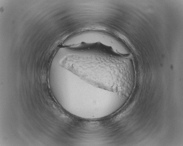 X0000062910833200602101830