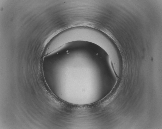 X0000062910834200602101830